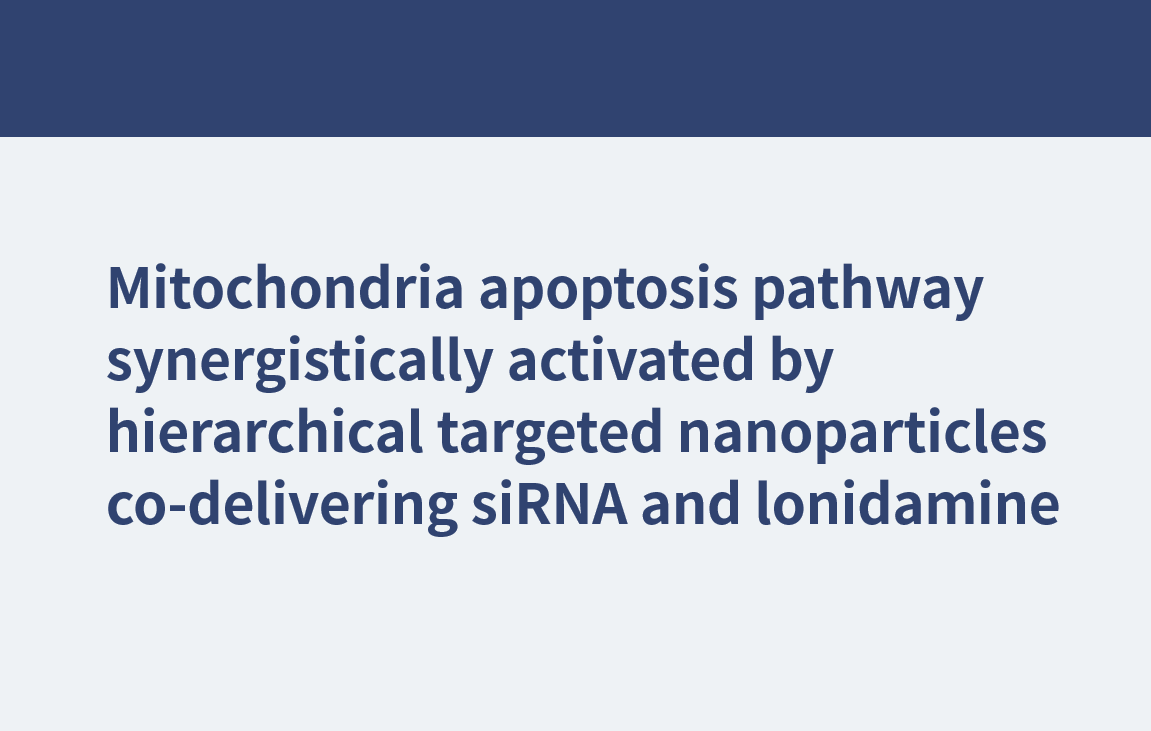 Mitochondrien-Apoptoseweg, synergistisch aktiviert durch hierarchisch zielgerichtete Nanopartikel, die siRNA und Lonidamin gemeinsam abgeben