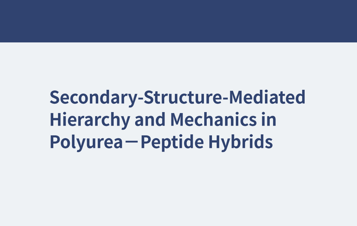 Sekundärstruktur-vermittelte Hierarchie und Mechanik in Polyharnstoff-Peptid-Hybriden