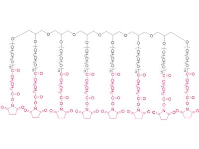 8-armig Poly (ethylen  glykol) SuccinimidylSuccinat (HG) [8-armig PEG-SS (HG)]  