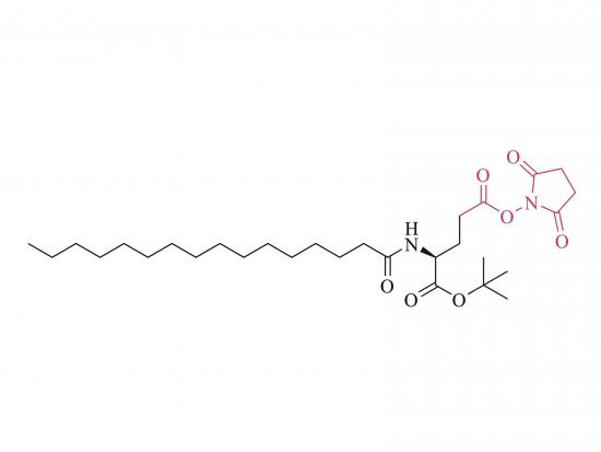 nα-Palmitoyl- (l) -glutaminsäure-γ-succinimidyl-α-tert-butylester