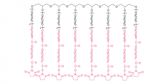 8-armig Poly (ethylen  glykol) SuccinimidylGlutaramid (HG)