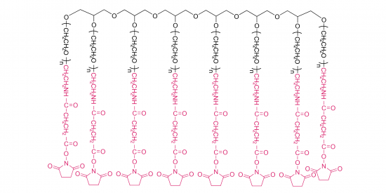 8-armig Poly (ethylen  glykol) SuccinimidylSuccinamid (HG)