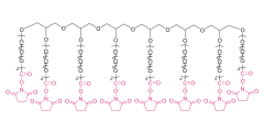 8-armig Poly (ethylen  glykol) SuccinimidylCarbonat (HG)