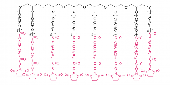 8-armig Poly (ethylen  glykol) SuccinimidylGlutarat (HG)