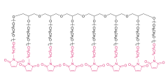 8-armiges Poly (ethylenglykol) maleimid (ether) (hg)