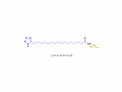 A-Melanozyten-stimulierendes Hormon-Analogon (N-Terminus)