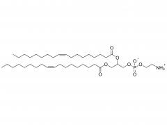 1,2-Dioleoyl-sn-glycero-3-phosphoethanolamin

