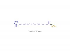 A-Melanozyten-stimulierendes Hormon-Analogon (N-Terminus)