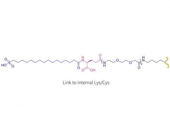 Peptid YY-Analogon 0165-1562 (LYS/CYS)