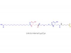 Glucagon-Analogon 9240-0530 (LYS/CYS)