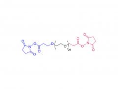 BIS-PEG21-NHS ESTER