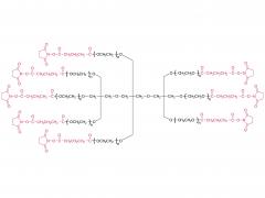 8-armiger Stift (tp)