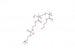 Poly（MPC-co-BMA）