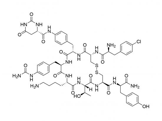 Satoreotid