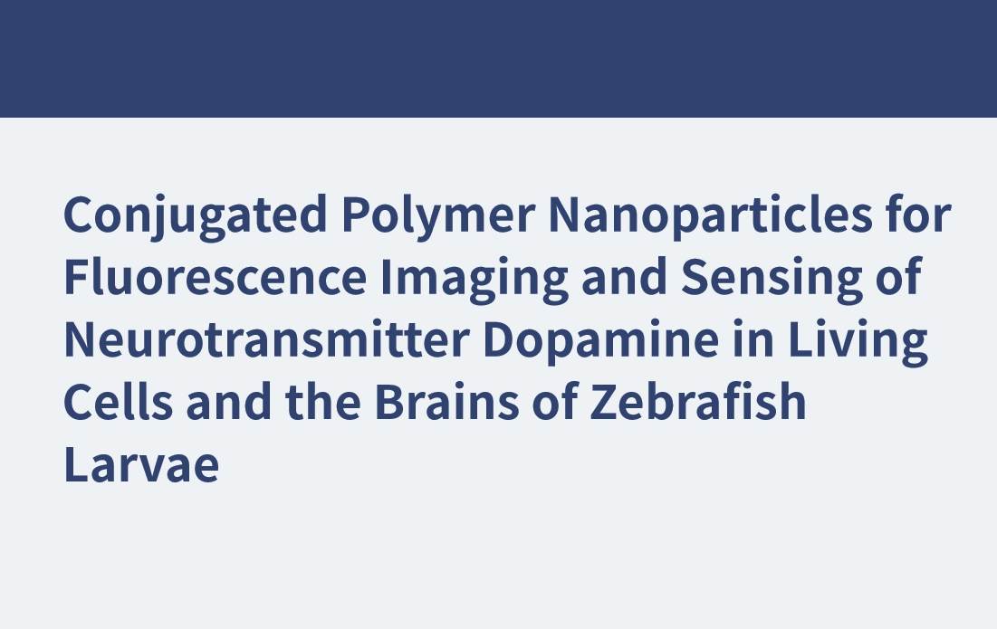 Konjugierte Polymernanopartikel für die Fluoreszenzbildgebung und Erkennung des Neurotransmitters Dopamin in lebenden Zellen und den Gehirnen von Zebrafischlarven
    