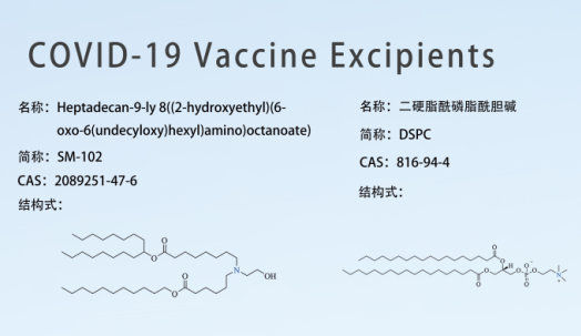 Diskussion über Covid-19 Impfstoff Hilfsstoffe 