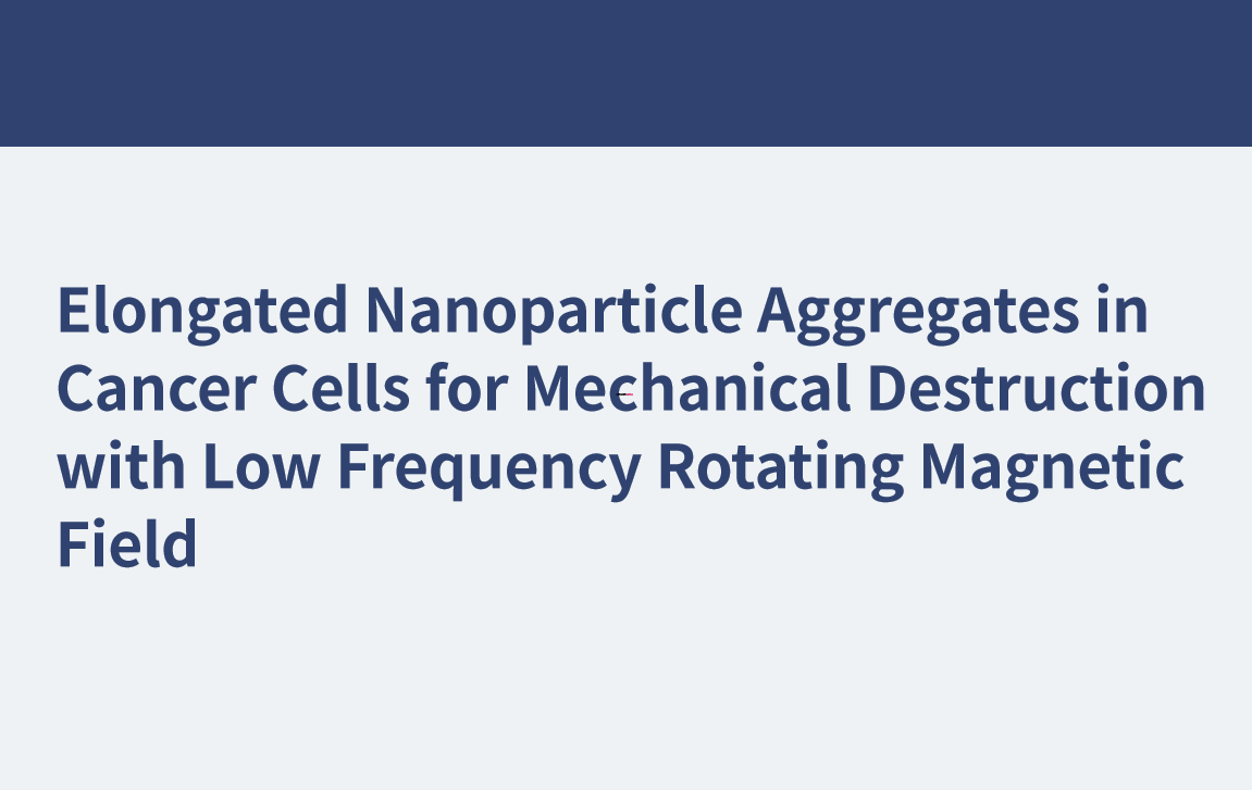 Längliche Nanopartikelaggregate in Krebszellen zur mechanischen Zerstörung mit niederfrequentem rotierendem Magnetfeld