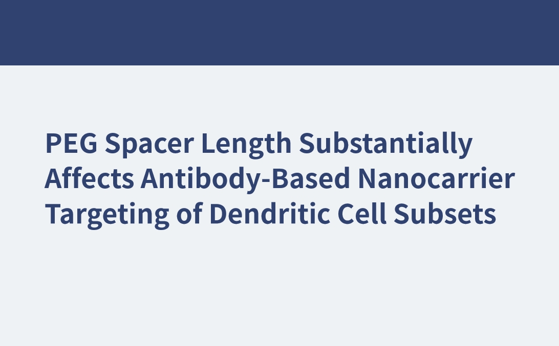 Die Länge des PEG-Spacers beeinflusst das antikörperbasierte Nanocarrier-Targeting von dendritischen Zelluntergruppen erheblich