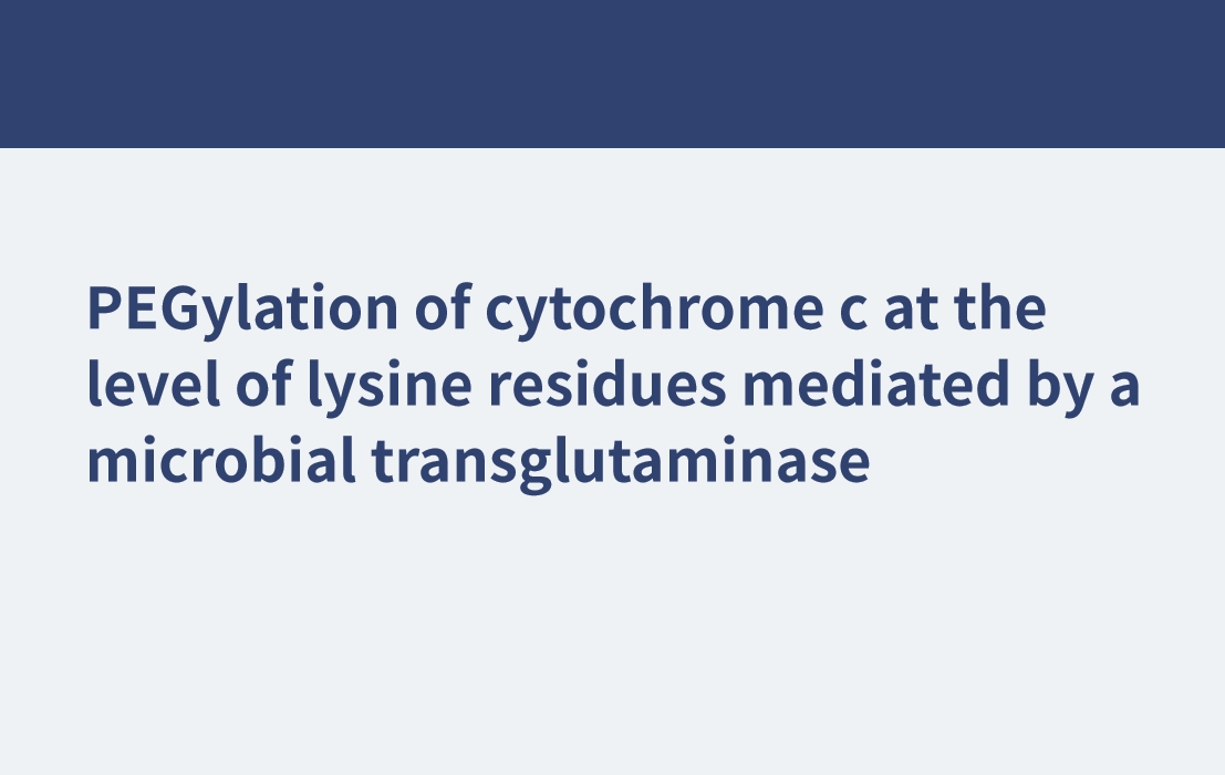 PEGylierung von Cytochrom c auf der Ebene von Lysinresten, vermittelt durch eine mikrobielle Transglutaminase
    