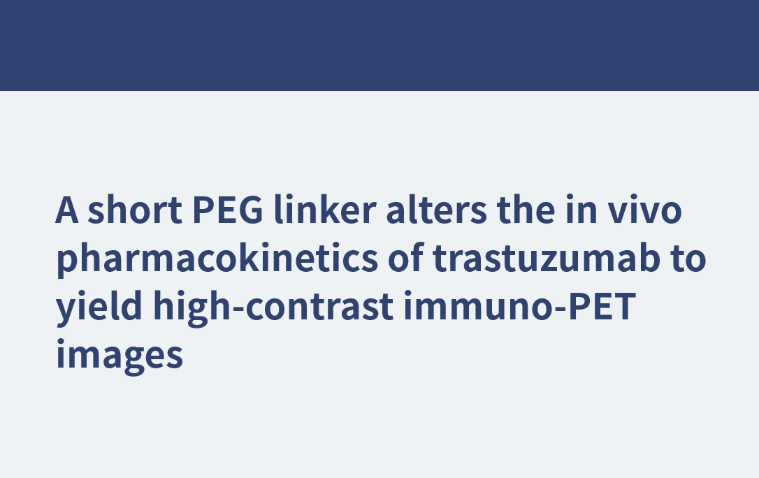 Ein kurzer PEG-Linker verändert die In-vivo-Pharmakokinetik von Trastuzumab, um kontrastreiche Immuno-PET-Bilder zu liefern