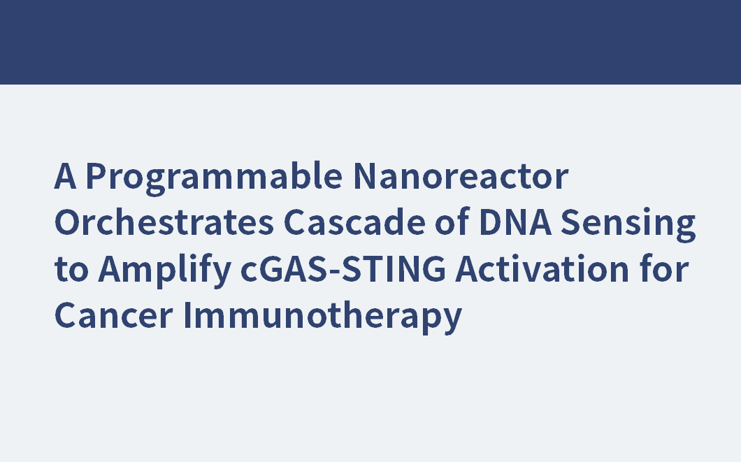 Ein programmierbarer Nanoreaktor orchestriert eine Kaskade der DNA-Erkennung zur Verstärkung der cGAS-STING-Aktivierung für die Krebsimmuntherapie