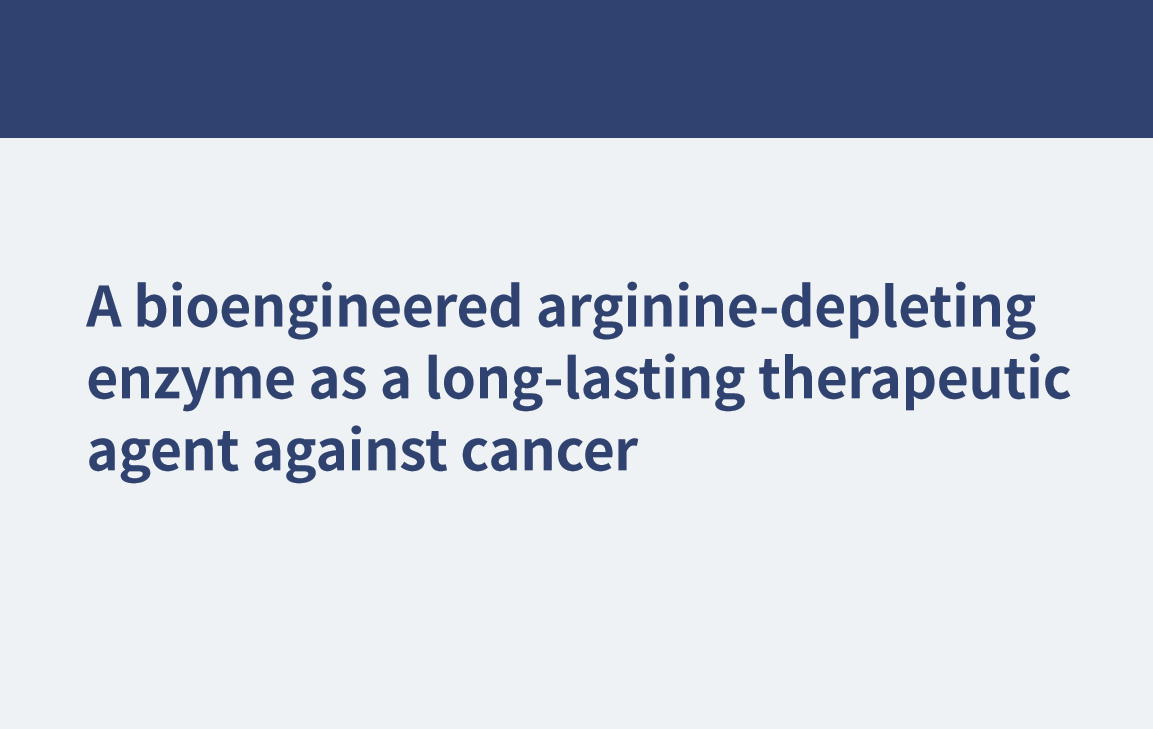 Ein biotechnologisch hergestelltes Arginin abbauendes Enzym als lang anhaltendes Therapeutikum gegen Krebs
