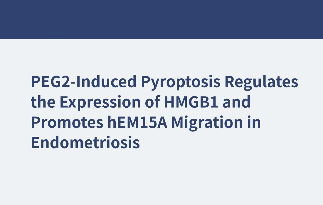 PEG2-induzierte Pyroptose reguliert die Expression von HMGB1 und fördert die Hem15A-Migration bei der Endometriose