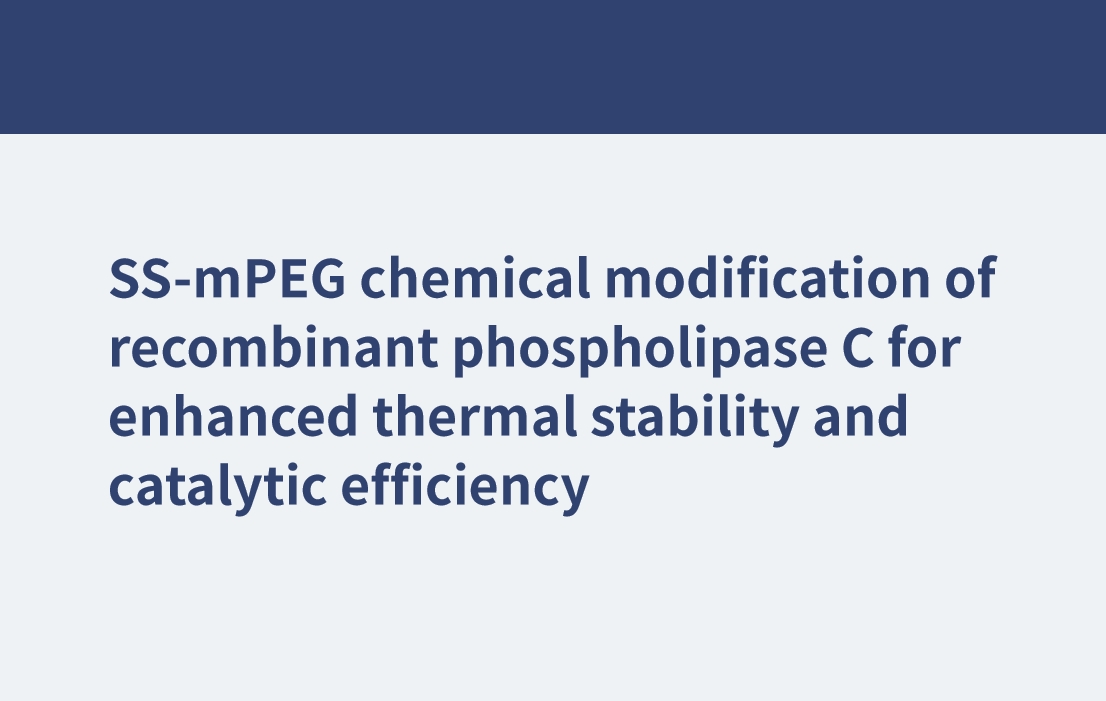 Chemische SS-mPEG-Modifikation der rekombinanten Phospholipase C für verbesserte thermische Stabilität und katalytische Effizienz
