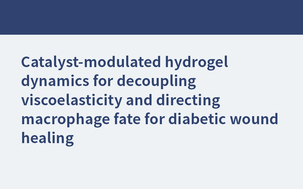 Katalysator-modulierte Hydrogel-Dynamik zur Entkopplung der Viskoelastizität und Steuerung des Makrophagen-Schicksals bei der Heilung diabetischer Wunden