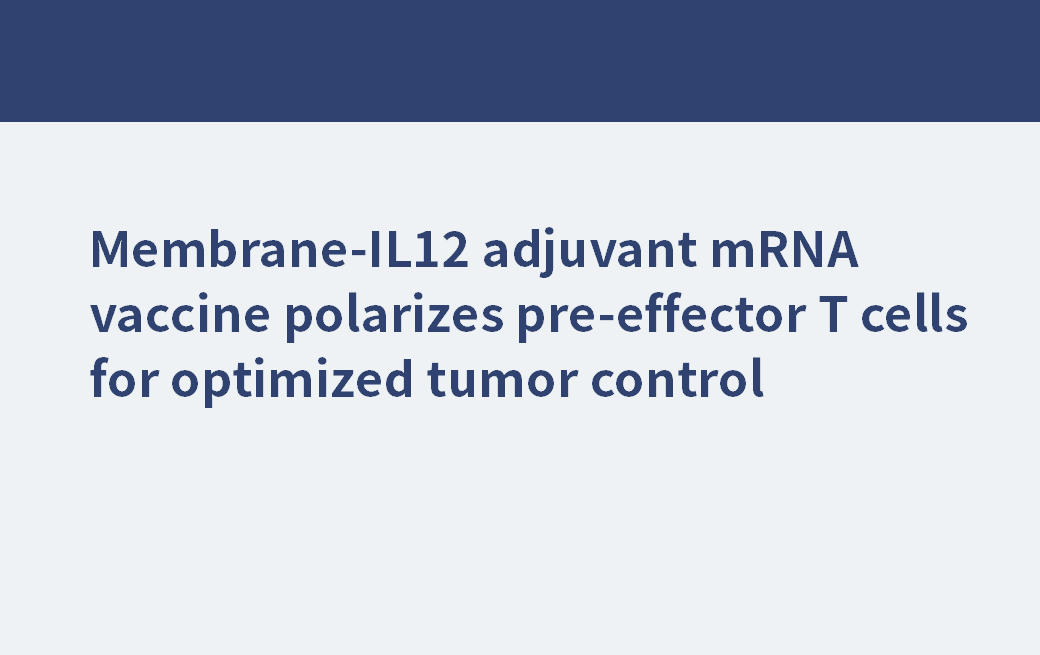 Membran-IL12-Adjuvans-mRNA-Impfstoff polarisiert Prä-Effektor-T-Zellen für eine optimierte Tumorkontrolle