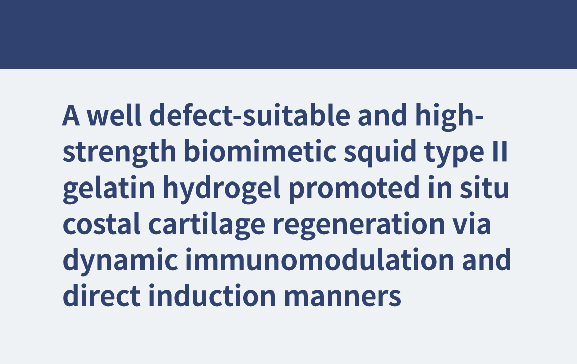 Ein gut für Defekte geeignetes und hochfestes biomimetisches Tintenfisch-Typ-II-Gelatine-Hydrogel förderte in situ die Rippenknorpelregeneration über dynamische Immunmodulation und direkte Induktionsmethoden