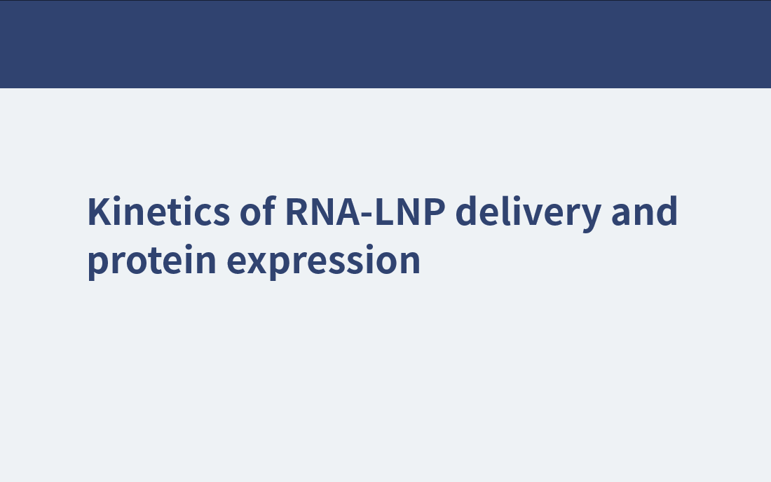 Kinetik der RNA-LNP-Abgabe und Proteinexpression