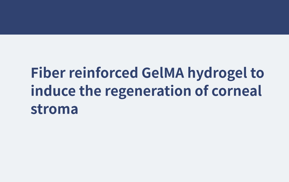 Faserverstärktes GelMA-Hydrogel zur Induktion der Regeneration des Hornhautstromas