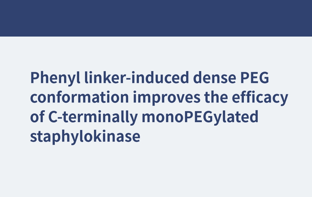 Die durch Phenyllinker induzierte dichte PEG-Konformation verbessert die Wirksamkeit der C-terminal monoPEGylierten Staphylokinase