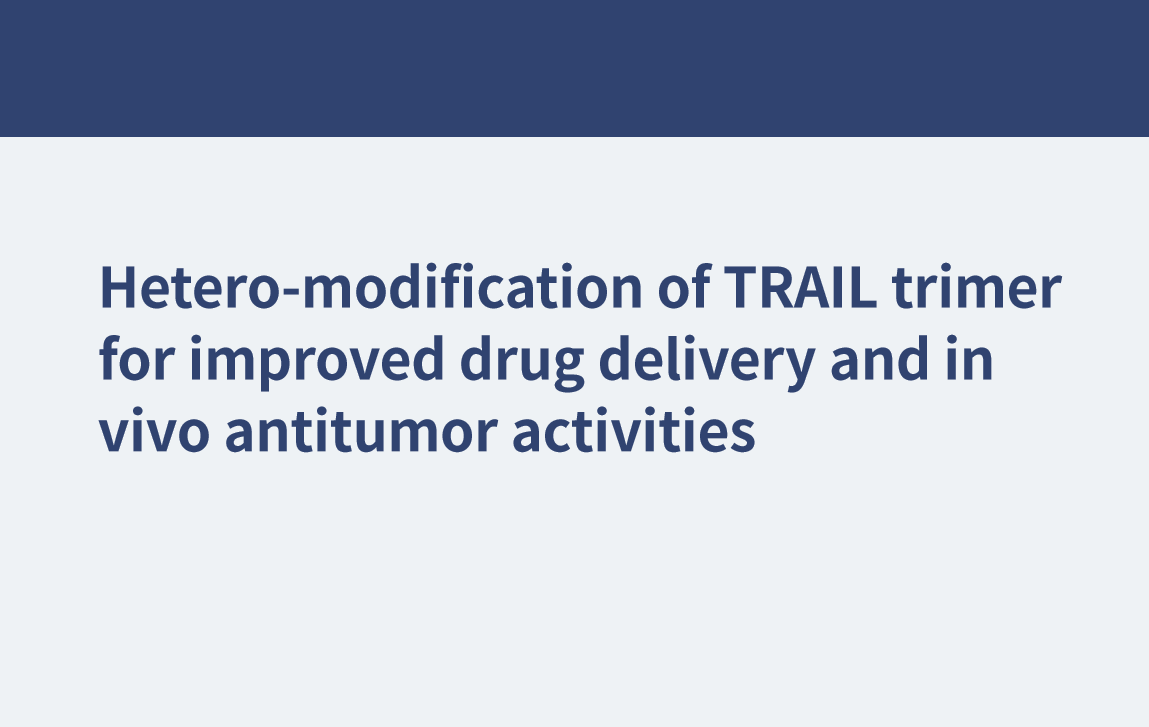 Heteromodifikation des TRAIL-Trimers für eine verbesserte Arzneimittelabgabe und In-vivo-Antitumoraktivitäten