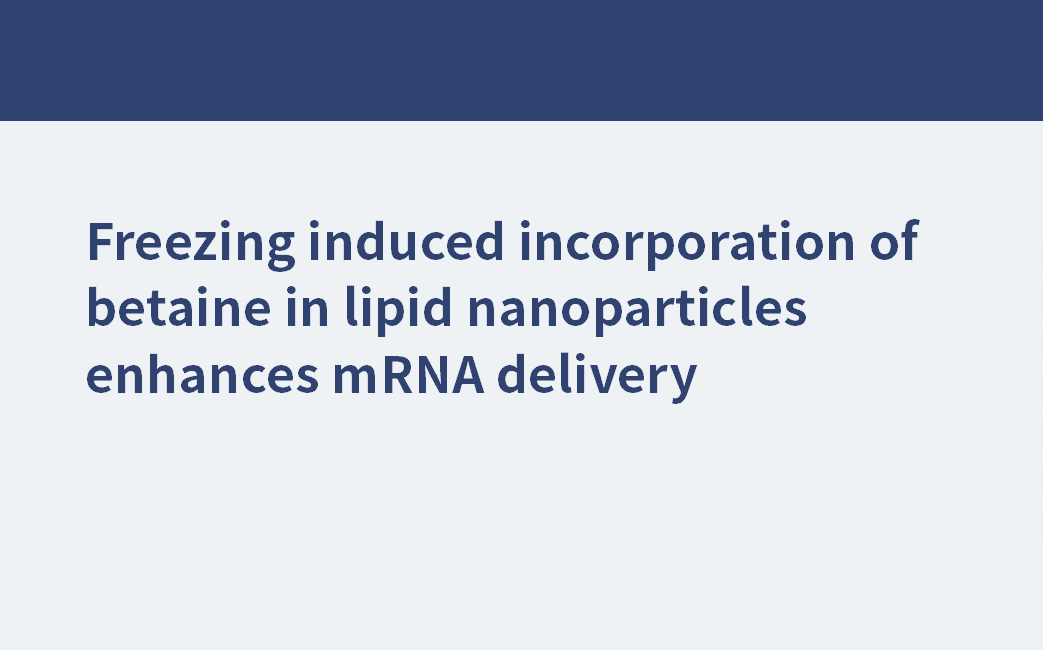 Durch Einfrieren induzierter Einbau von Betain in Lipid-Nanopartikel verbessert die mRNA-Abgabe