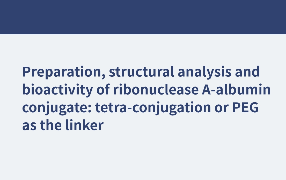 Herstellung, Strukturanalyse und Bioaktivität des Ribonuklease-A-Albumin-Konjugats: Tetrakonjugation oder PEG als Linker
