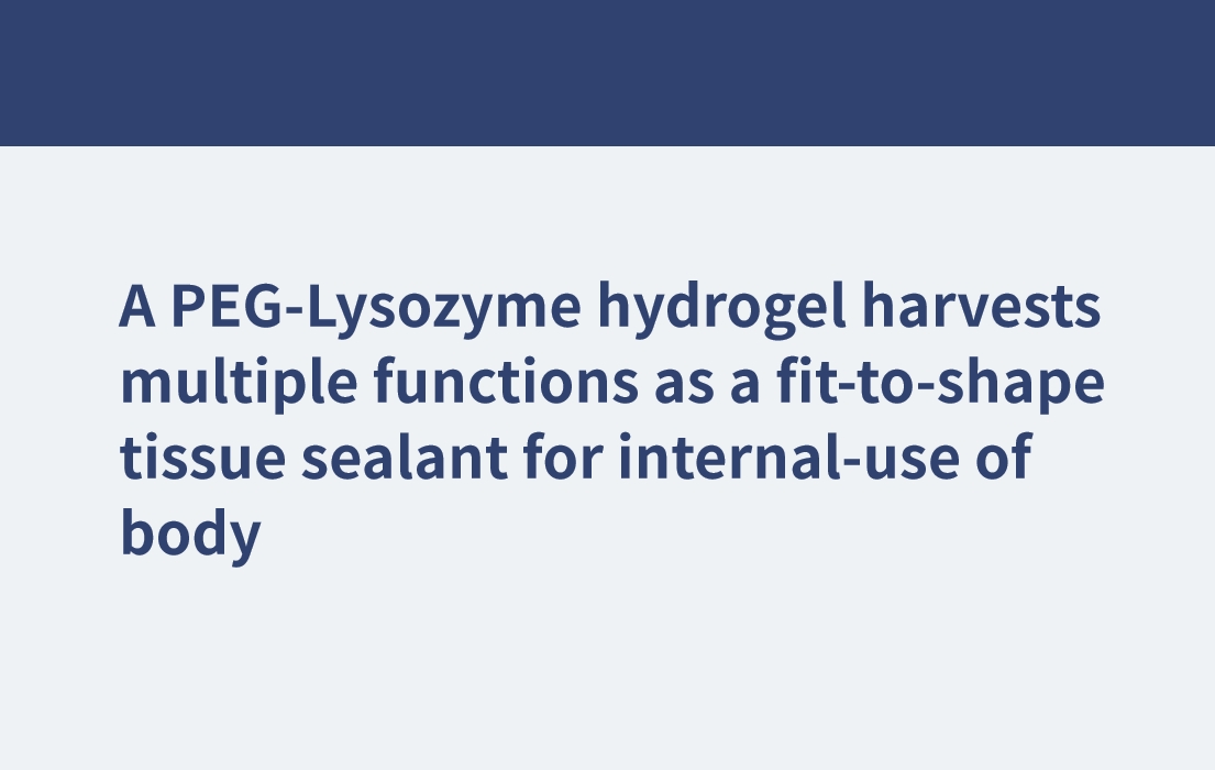 Ein PEG-Lysozym-Hydrogel erfüllt mehrere Funktionen als formgebendes Gewebeversiegelungsmittel für die interne Anwendung im Körper